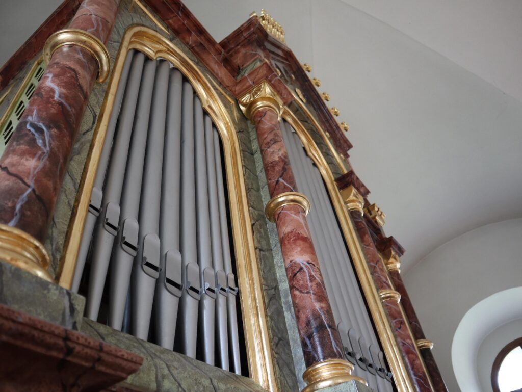 Organ